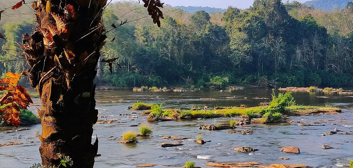 scenery2