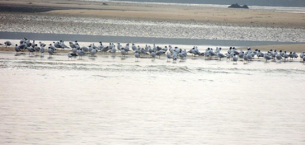 scenery1
