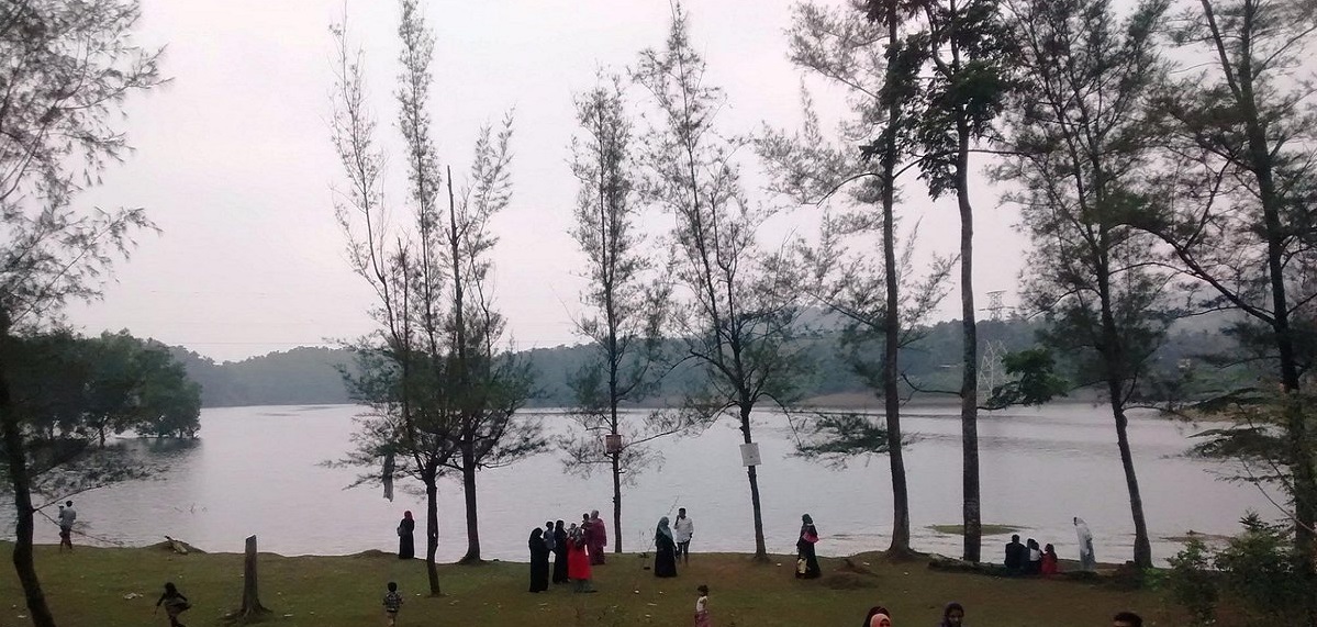 scenery2
