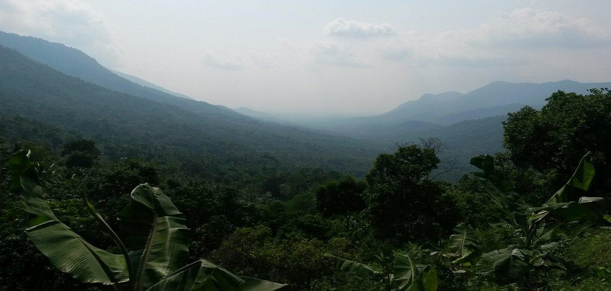 scenery2