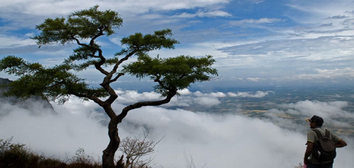 scenery1