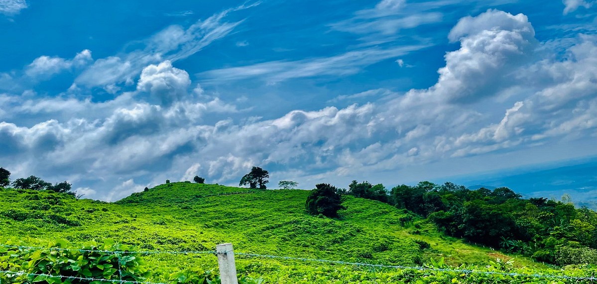 scenery2