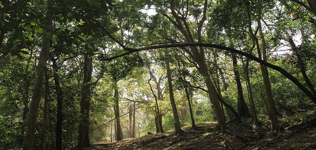 scenery2